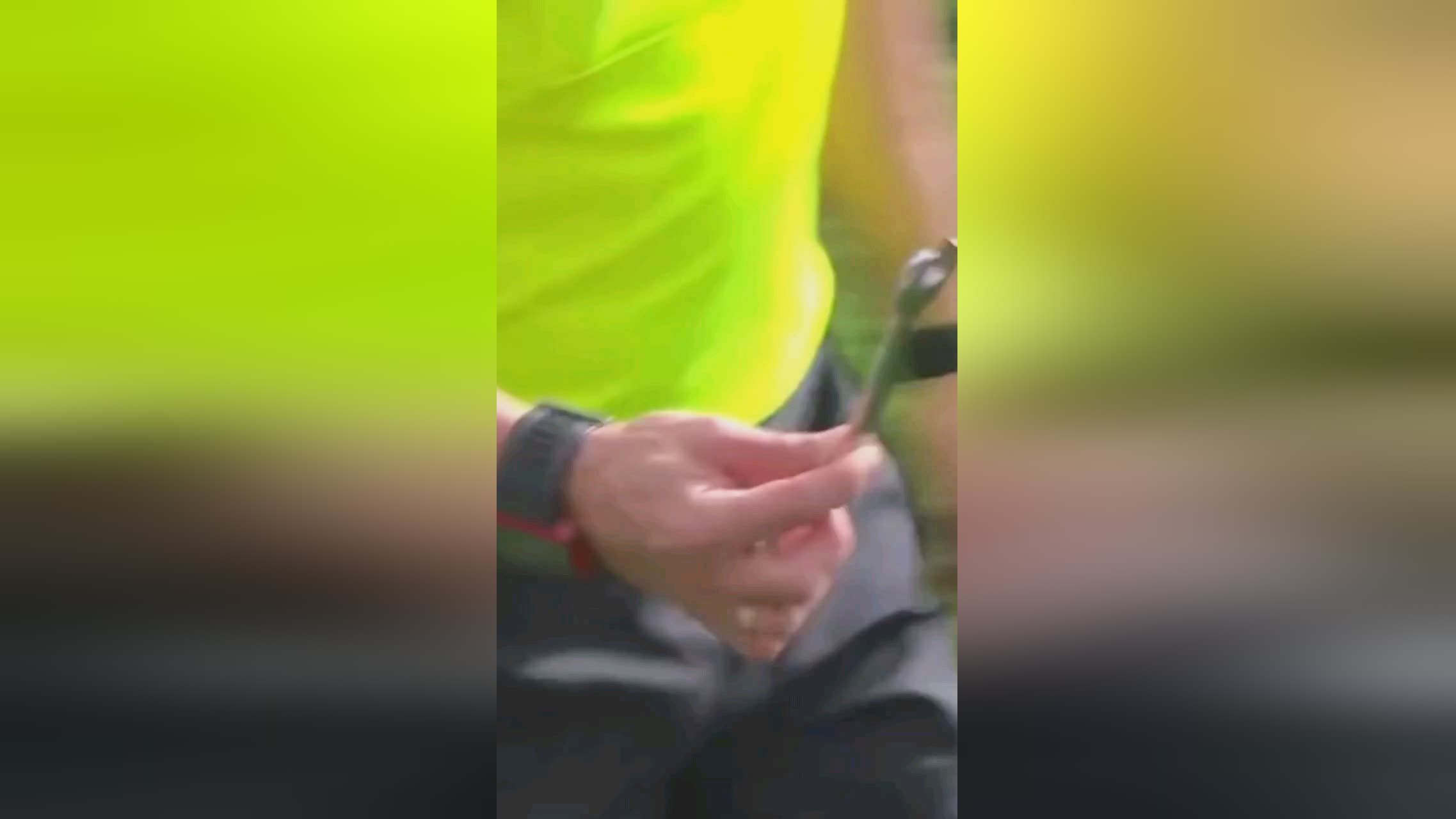 的国